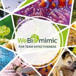 WeBiomimic® for Team