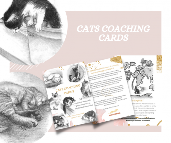Percorso di crescita personale e Biomimicry - Cats Coaching Cards